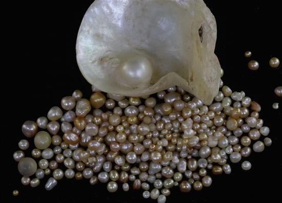 A quantity of loose undrilled (untested) pearls of varying shapes, colours and sizes and a pearl in half shell,